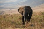 découvrez nos conseils et astuces pour optimiser la conservation de vos aliments, objets ou documents afin de prolonger leur durée de vie, préserver leur qualité et assurer leur sécurité au quotidien.