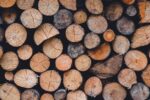 découvrez les causes, conséquences et solutions face à la déforestation, un enjeu majeur pour l'environnement, la biodiversité et le climat mondial.