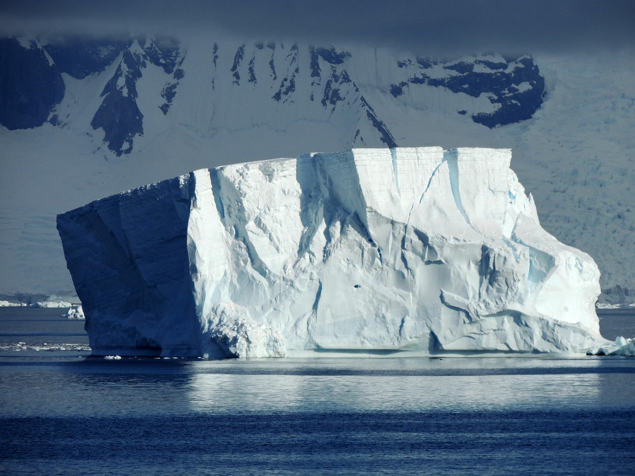 découvrez l'antarctique, un continent fascinant couvert de glace, abritant une faune unique et servant de laboratoire naturel pour la recherche scientifique sur le climat et l'environnement.