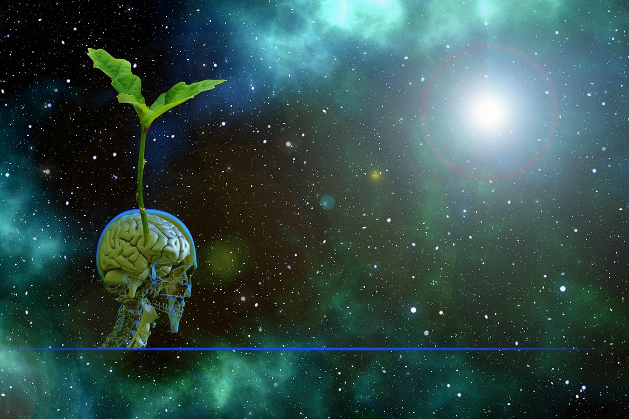 découvrez l'importance de la sensibilisation au changement climatique, ses enjeux majeurs et des solutions pour agir au quotidien afin de protéger notre planète.