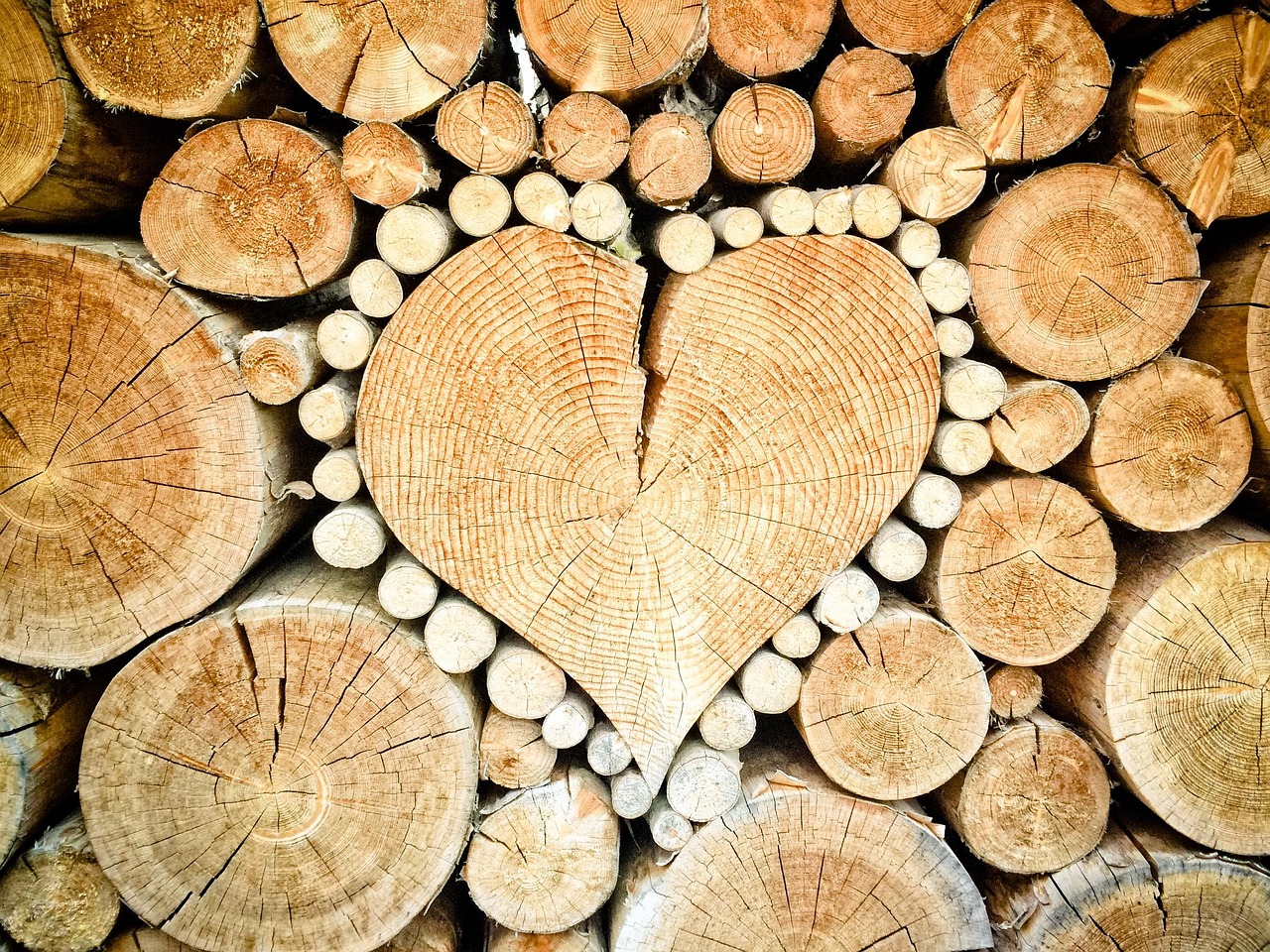 découvrez les causes, conséquences et solutions liées à la déforestation. informez-vous sur l'impact environnemental de ce phénomène mondial et comment chacun peut agir pour préserver les forêts.