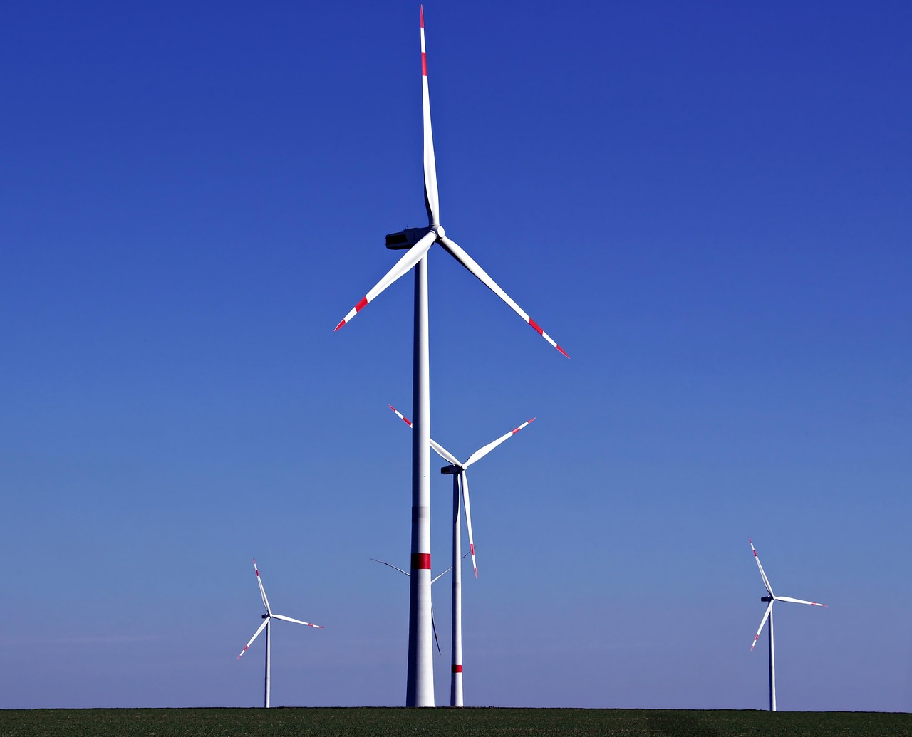 découvrez comment réussir la transition écologique grâce à des solutions innovantes et des conseils pratiques pour préserver l'environnement et favoriser un développement durable.