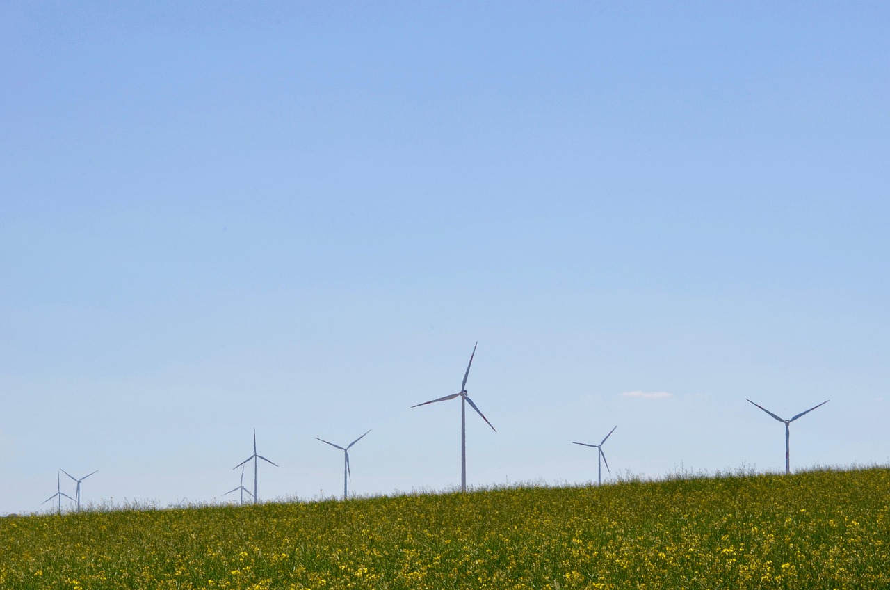 découvrez les enjeux et les solutions de la transition écologique pour un avenir durable. informez-vous sur les actions à adopter pour protéger l’environnement et soutenir un mode de vie responsable.