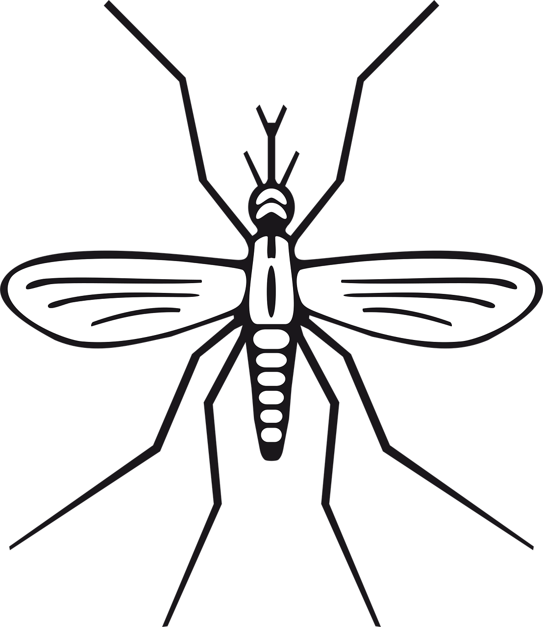 découvrez tout ce qu'il faut savoir sur la malaria : causes, symptômes, prévention et traitements. informez-vous pour mieux protéger votre santé contre cette maladie transmise par les moustiques.