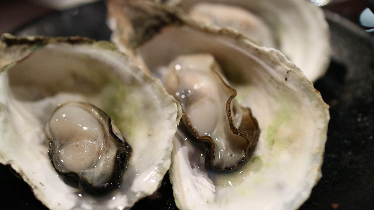 découvrez tout sur les huîtres : variétés, bienfaits nutritionnels, conseils de dégustation et astuces pour choisir les meilleurs coquillages. savourez la fraîcheur de la mer !