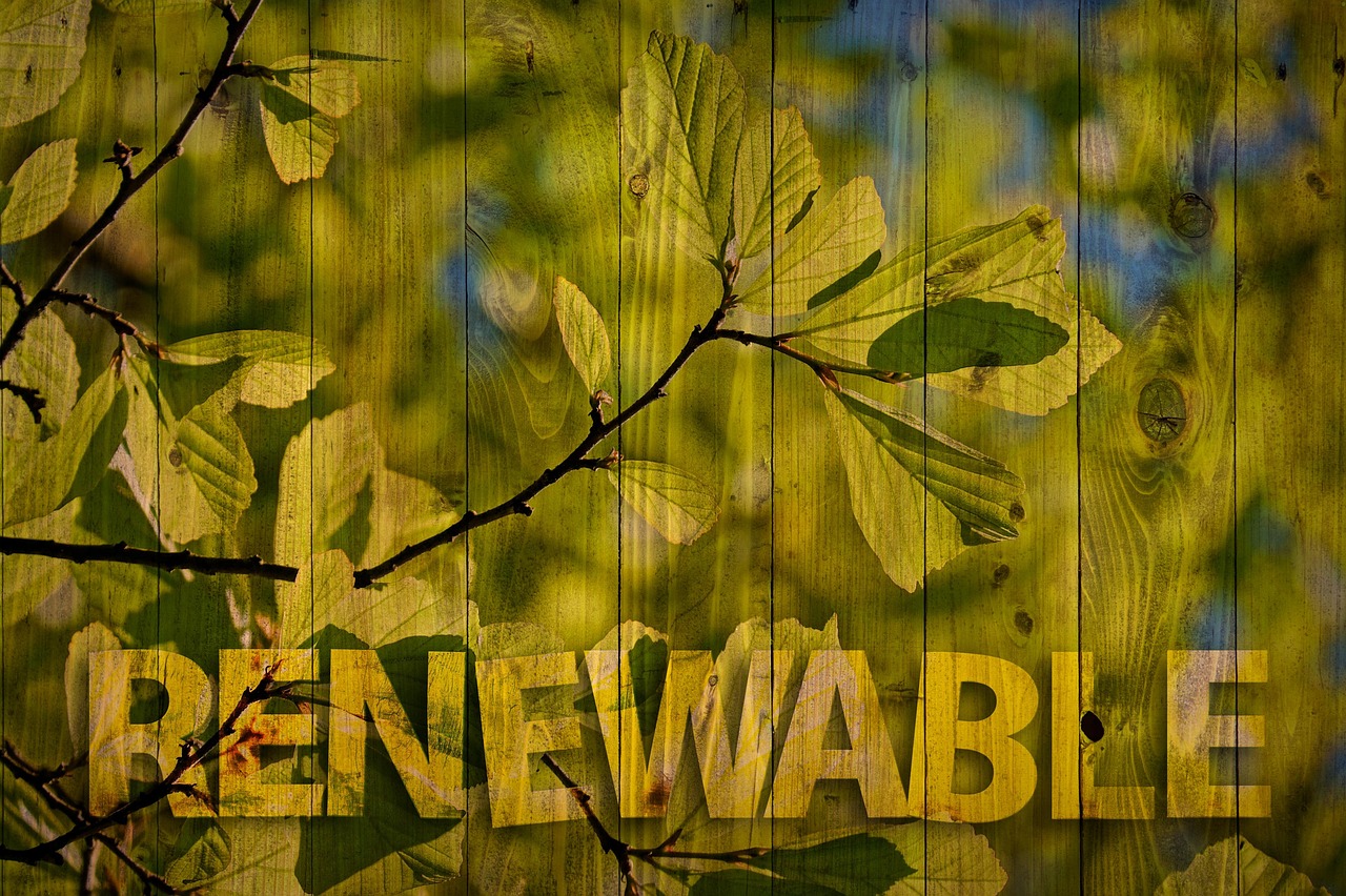 découvrez comment la chaleur renouvelable permet de produire de l'énergie propre et durable pour le chauffage des bâtiments tout en réduisant les émissions de co2. solutions écologiques et économies d'énergie assurées !