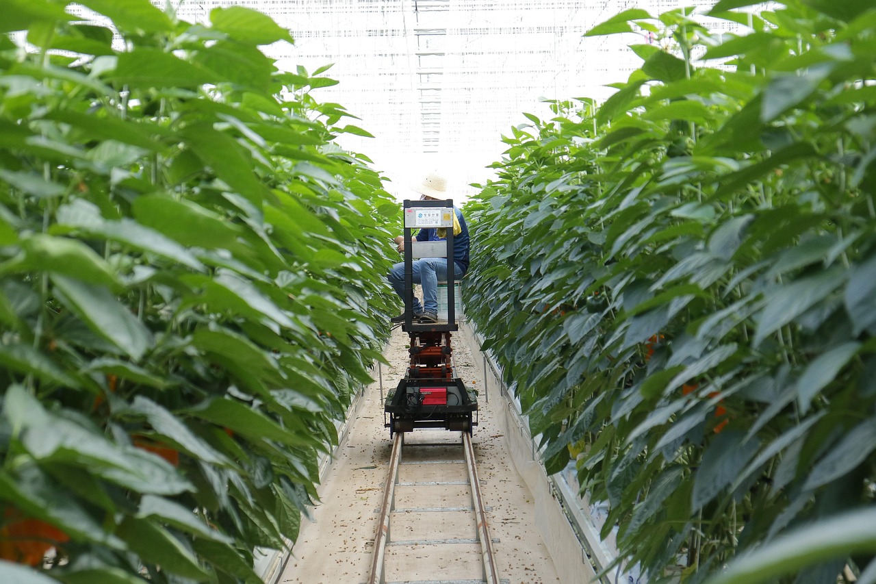 découvrez comment la smart agriculture révolutionne le secteur agricole grâce aux technologies innovantes telles que l’iot, les capteurs connectés et l’intelligence artificielle pour optimiser les rendements et préserver l’environnement.