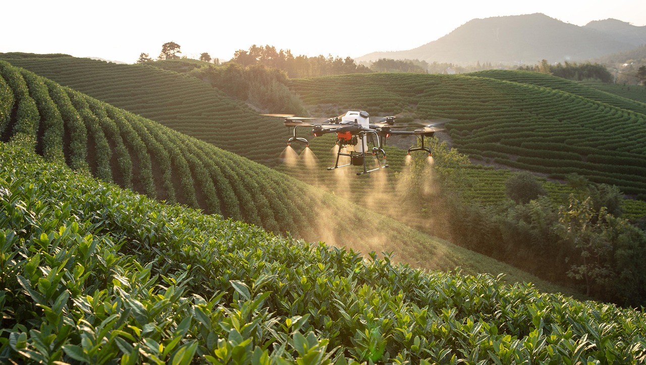 découvrez comment la smart agriculture révolutionne le secteur agricole grâce aux nouvelles technologies, à l'optimisation des ressources et à l'agriculture durable. améliorez vos rendements et profitez d'une gestion intelligente des cultures.