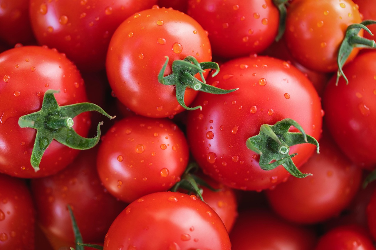 découvrez tout sur les tomates : variétés, bienfaits pour la santé, conseils de culture et recettes pour savourer ce fruit incontournable de la cuisine.