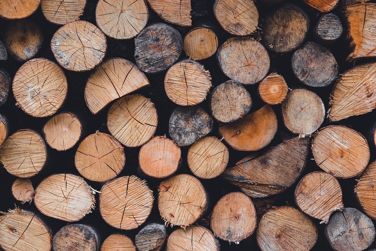 découvrez les causes, les impacts et les solutions liées à la déforestation, un enjeu environnemental crucial pour la préservation de la biodiversité et la lutte contre le changement climatique.