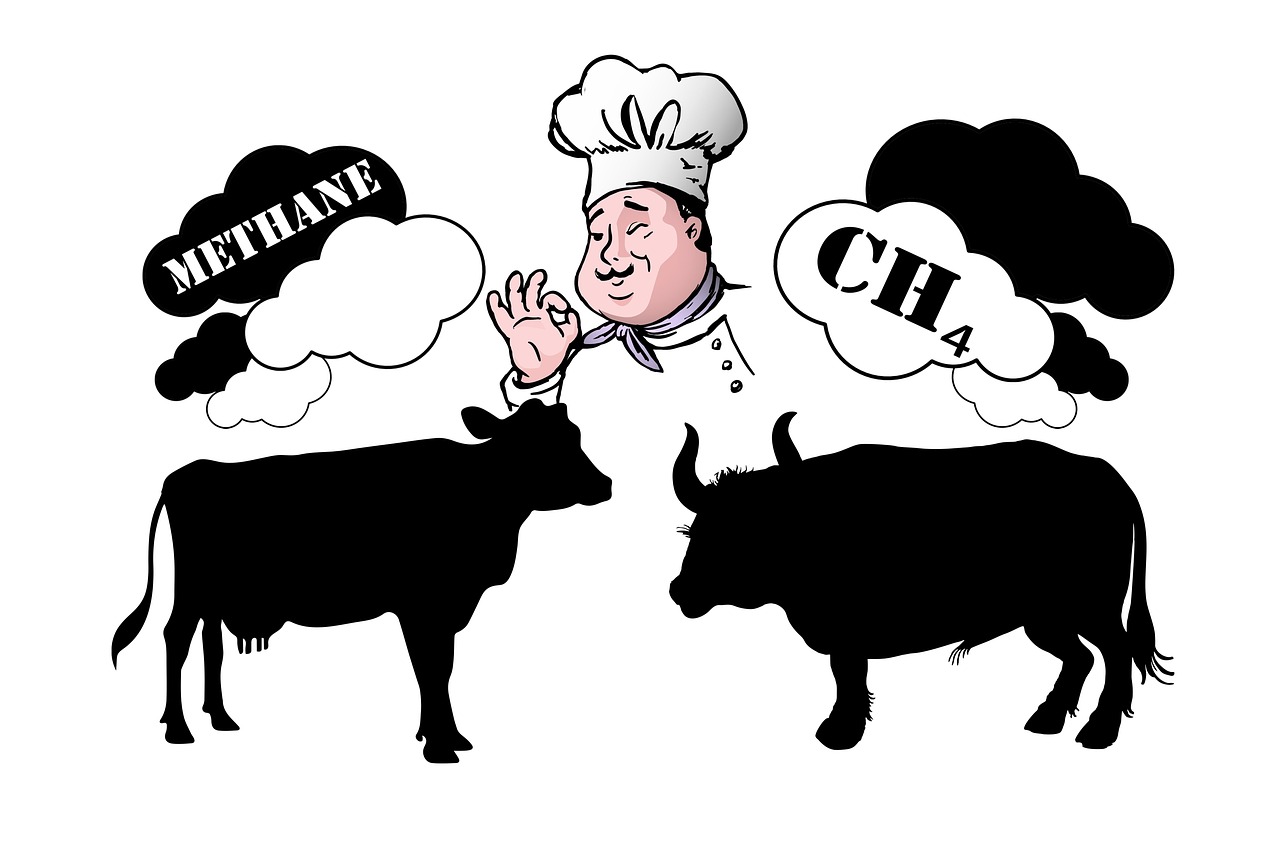 découvrez les principaux polluants climatiques, leurs sources et leur impact sur l'environnement et la santé. comprenez comment agir pour réduire leur influence et protéger la planète.