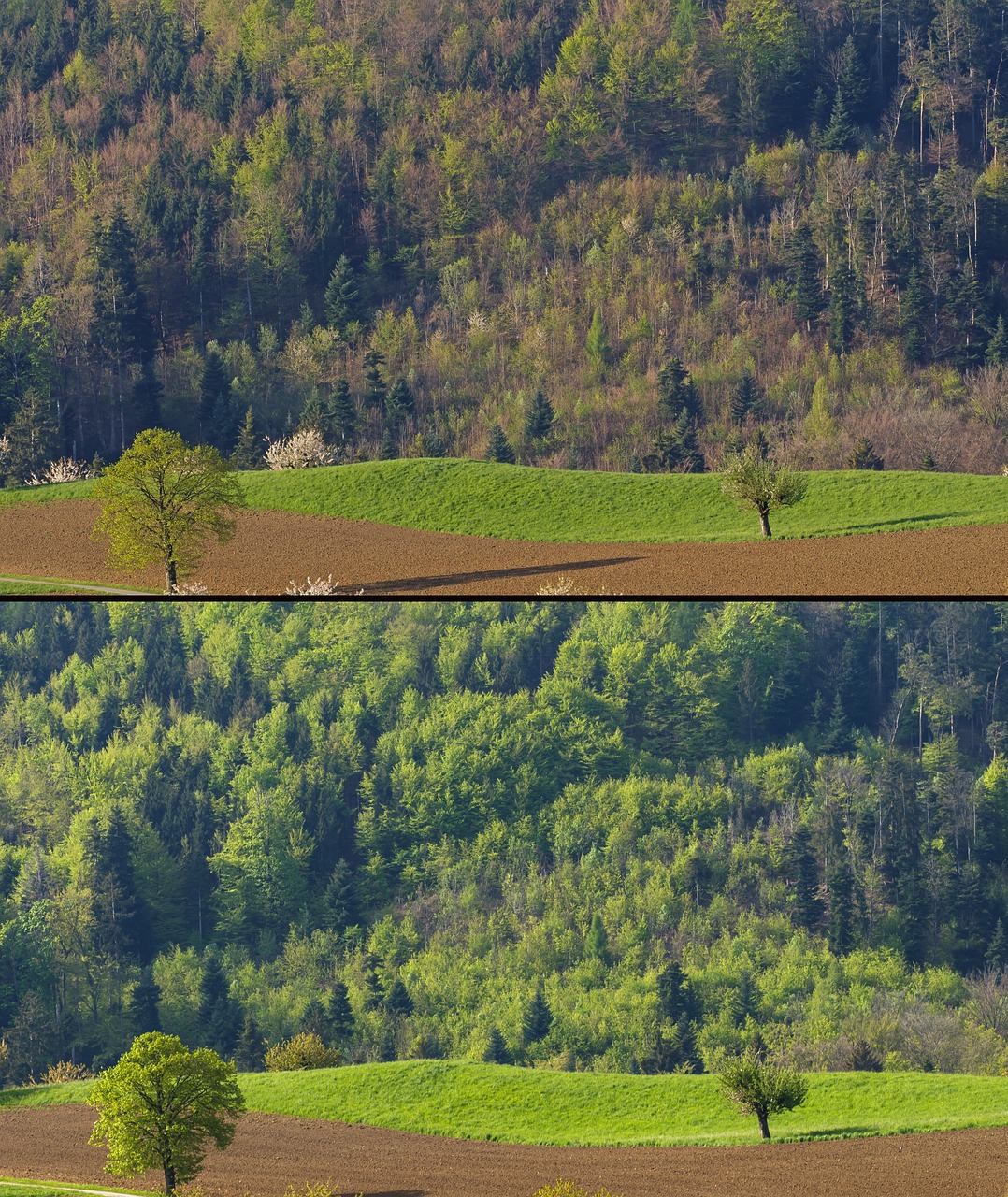 découvrez le pic des émissions de co2 en chine, son impact environnemental et les mesures prises pour réduire son empreinte carbone.