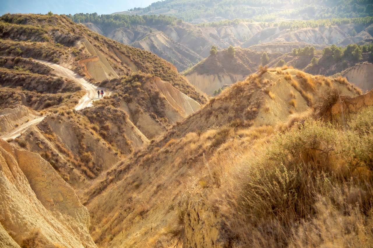 partez à la découverte de la nature avec une aventure écologique unique, alliant exploration, respect de l’environnement et expériences durables. vivez des moments inoubliables tout en préservant la planète.