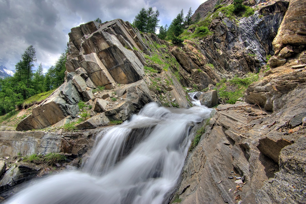 découvrez les enjeux et solutions pour protéger notre environnement, préserver la biodiversité et promouvoir un développement durable.