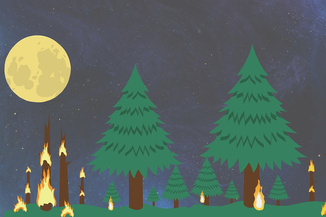 découvrez les causes, les impacts et les solutions aux catastrophes environnementales pour mieux protéger notre planète.