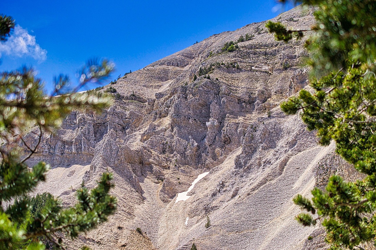 d&eacute;couvrez les initiatives d'adaptation au climat du mont ventoux pour pr&eacute;server son &eacute;cosyst&egrave;me unique face aux changements environnementaux.