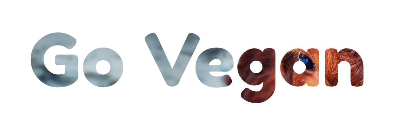 découvrez la mode éthique et durable alliant style, respect de l'environnement et conditions de travail équitables pour un avenir responsable.