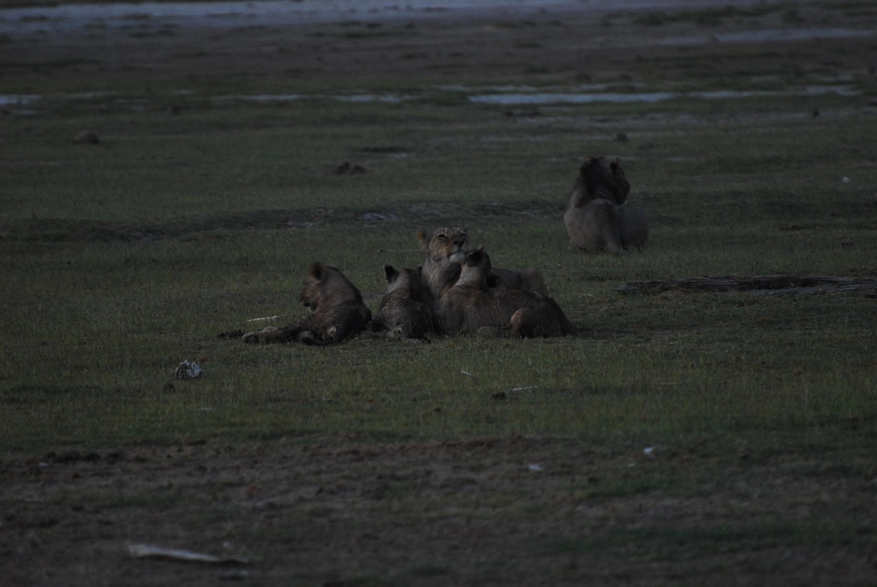 découvrez comment agir concrètement pour le climat et contribuer à un avenir durable grâce à des initiatives et solutions efficaces.