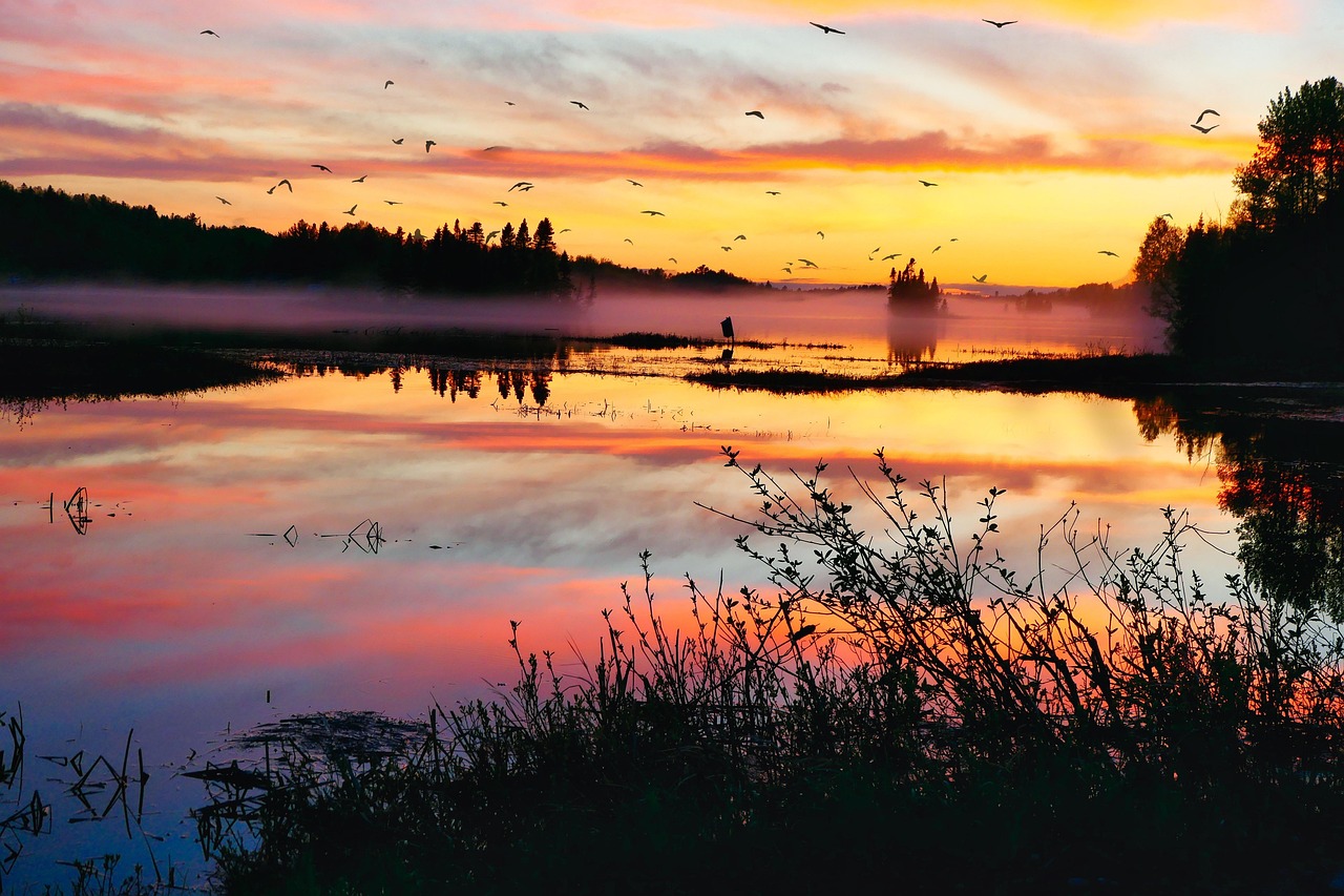 d&eacute;couvrez notre plan climat d&eacute;taill&eacute; visant &agrave; r&eacute;duire les &eacute;missions de gaz &agrave; effet de serre et promouvoir un avenir durable pour tous.