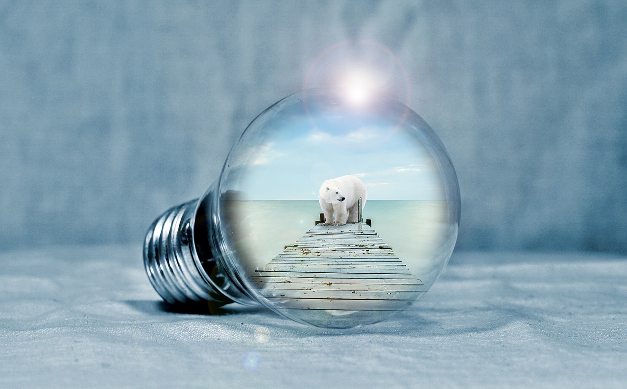 d&eacute;couvrez les enjeux et solutions de la transition &eacute;nerg&eacute;tique pour un avenir durable et respectueux de l'environnement.