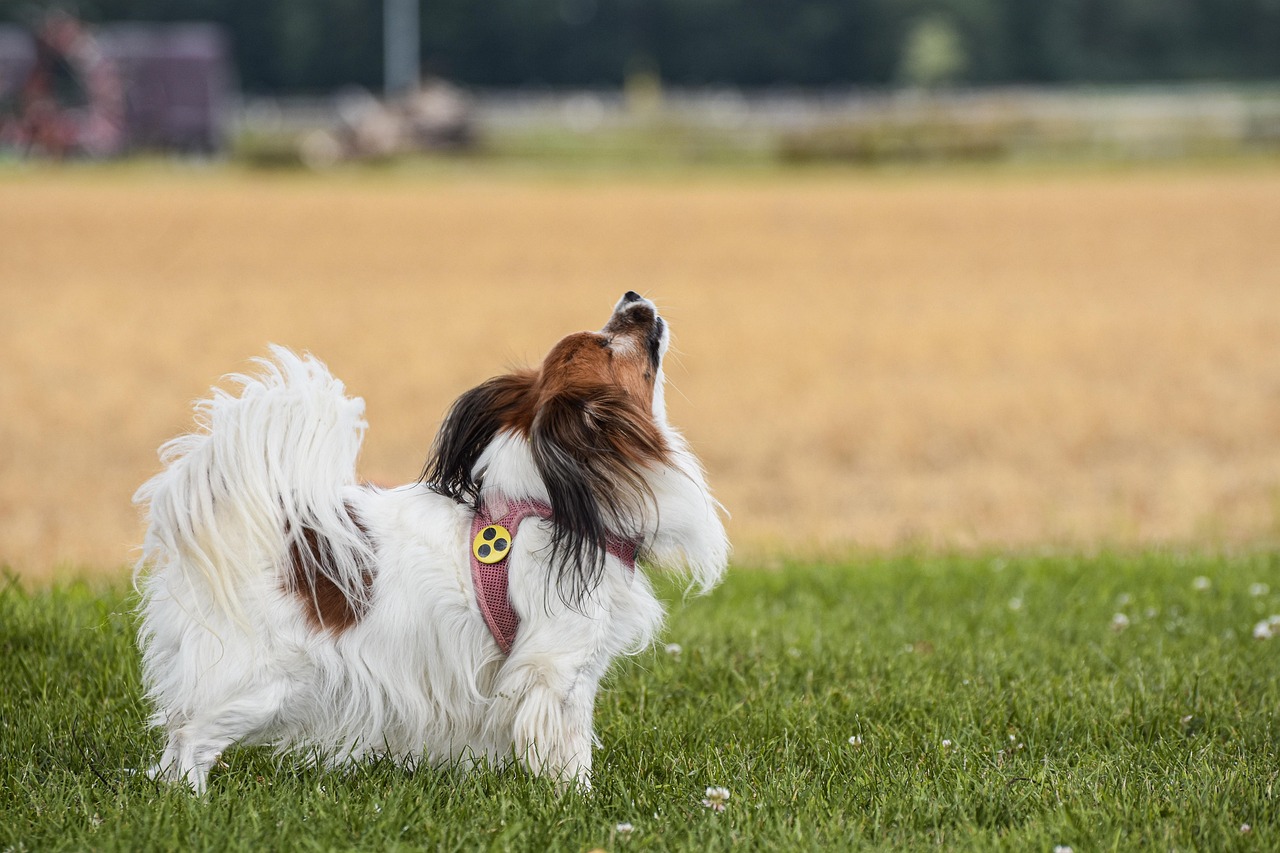 découvrez le point aveugle du rapport du giec : un aspect crucial souvent négligé dans l'évaluation des changements climatiques et leurs impacts.