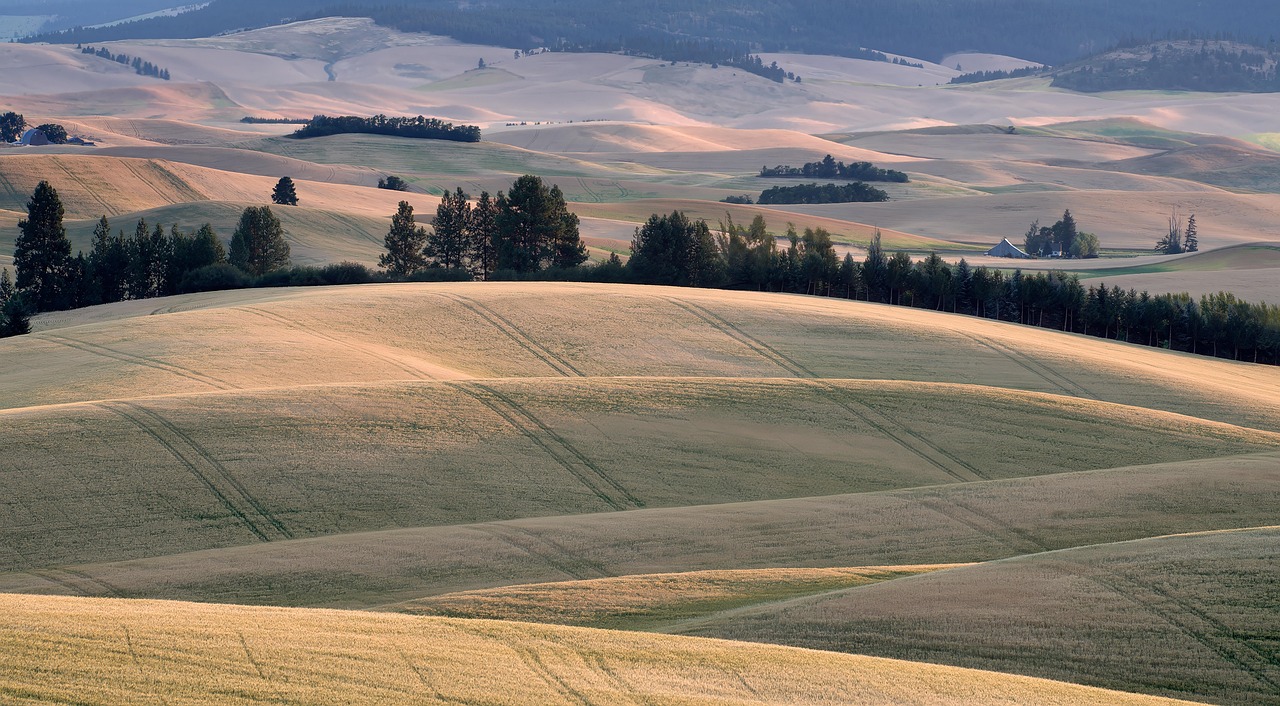 d&eacute;couvrez l'histoire fascinante du passage du nord-ouest, la route maritime l&eacute;gendaire reliant l'atlantique au pacifique &agrave; travers l'arctique, et son importance dans l'exploration polaire.