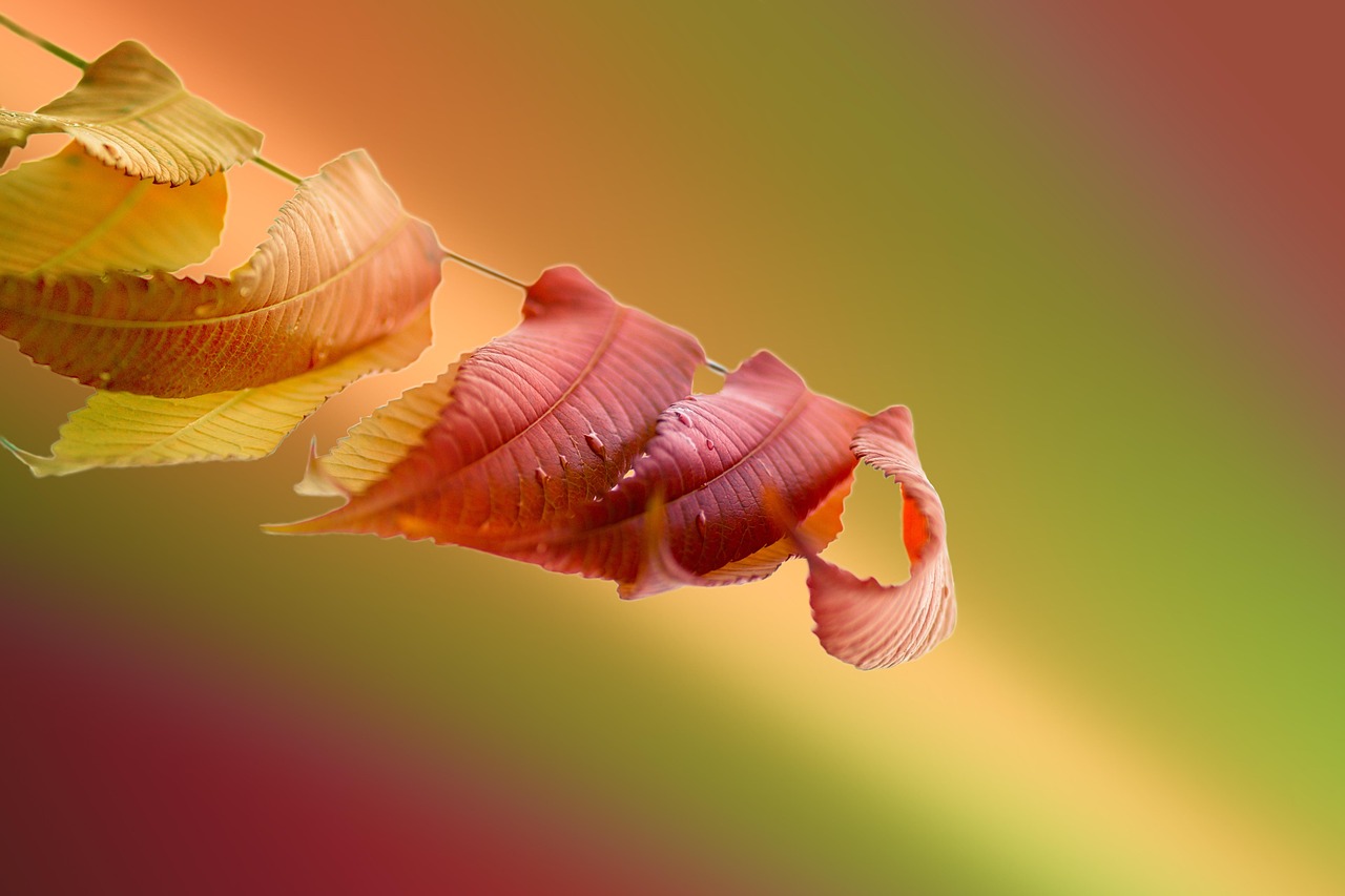 d&eacute;couvrez comment utiliser le bicarbonate de soude et le vinaigre blanc pour un nettoyage naturel, efficace et &eacute;cologique de votre maison.