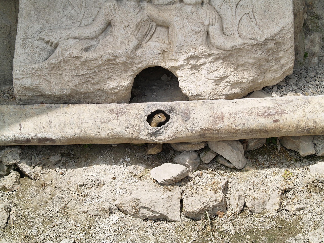 découvrez les stratégies et solutions innovantes pour l'adaptation au changement climatique, afin de protéger les écosystèmes, les communautés et les infrastructures face aux impacts environnementaux.