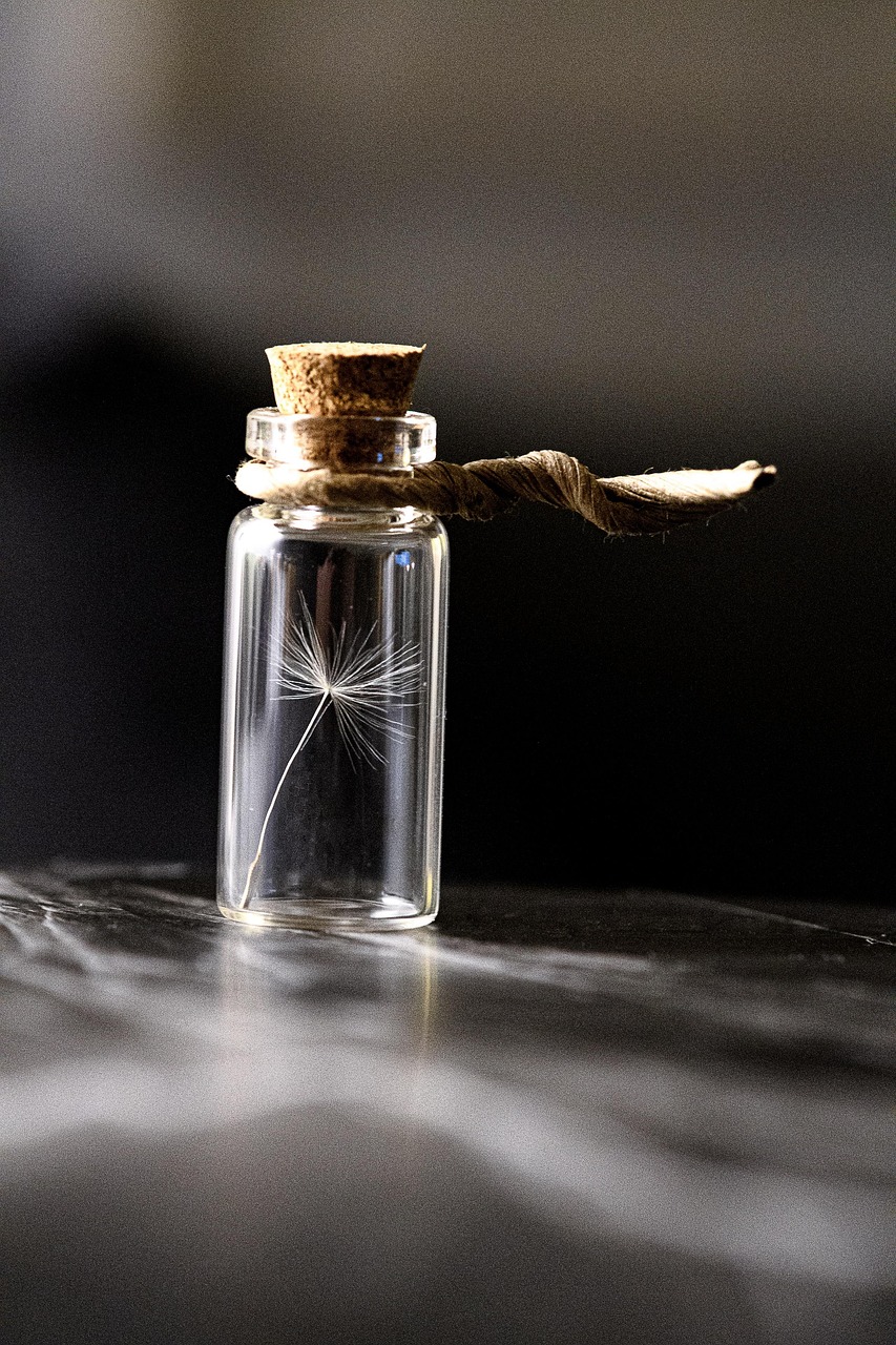 Comment pr&eacute;server la biodiversit&eacute; dans un monde en mutation ?