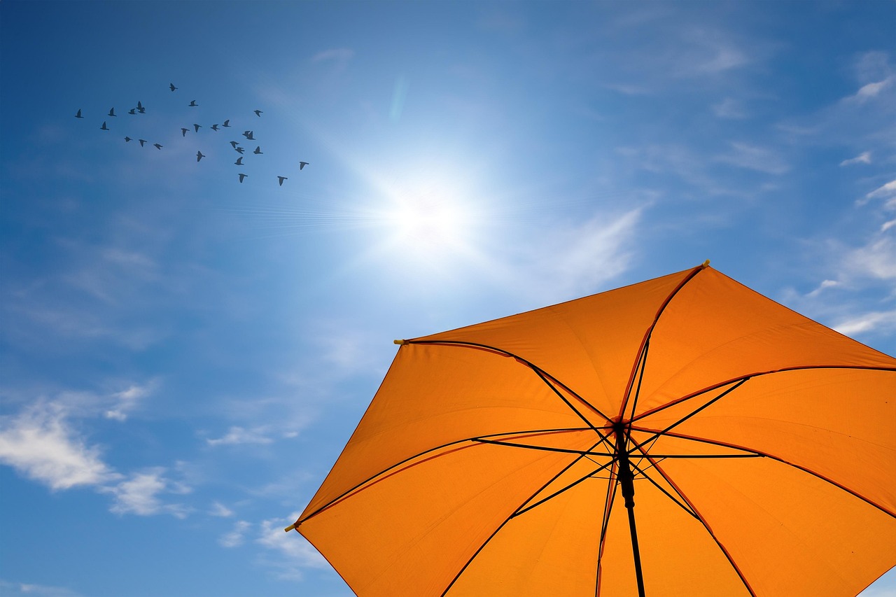 d&eacute;couvrez l'impact du changement climatique sur l'agriculture mondiale et les solutions durables pour pr&eacute;server nos ressources naturelles.