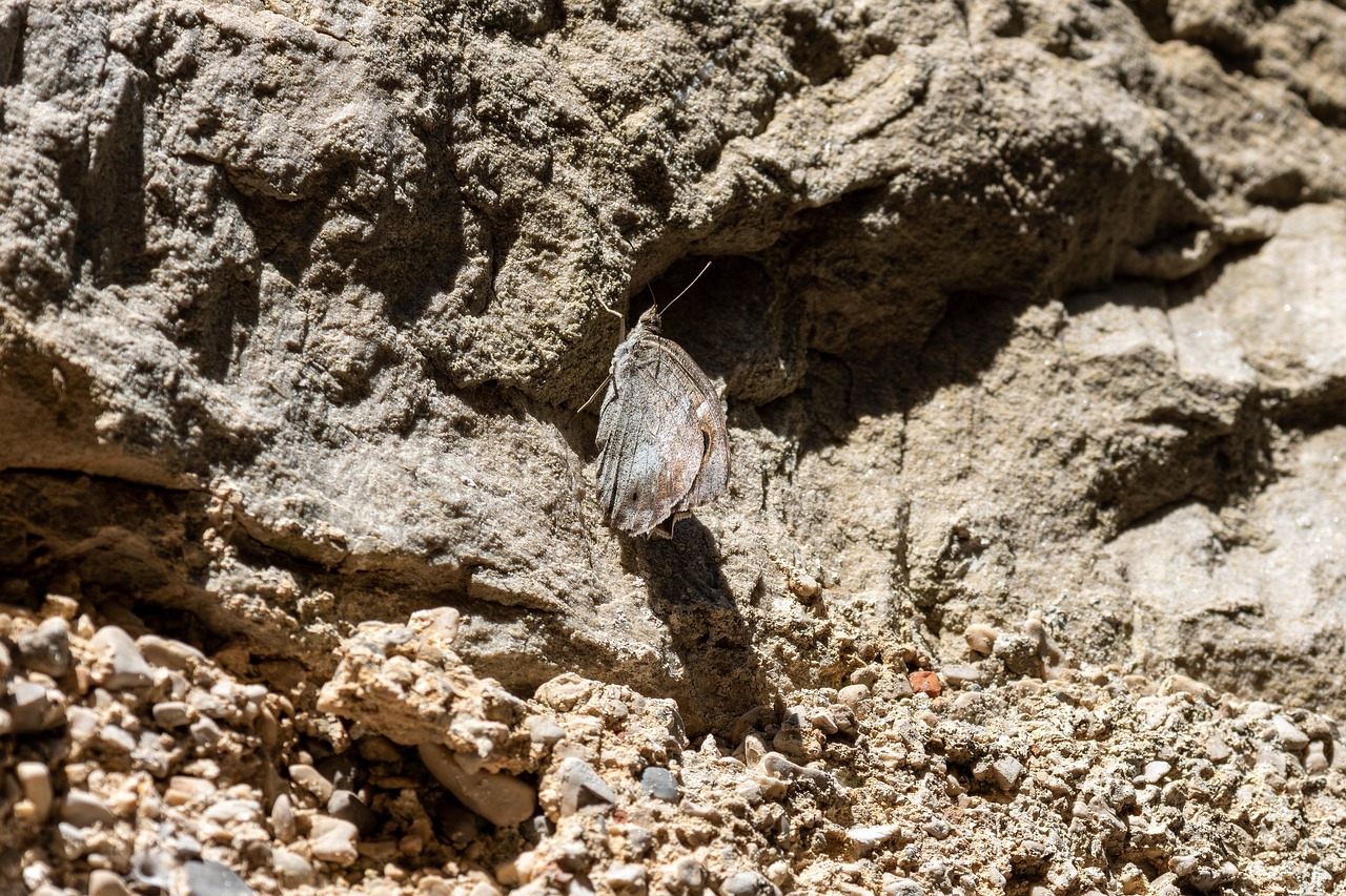 d&eacute;couvrez comment adapter les infrastructures pour r&eacute;pondre aux d&eacute;fis environnementaux et aux changements climatiques, assurant durabilit&eacute; et r&eacute;silience.