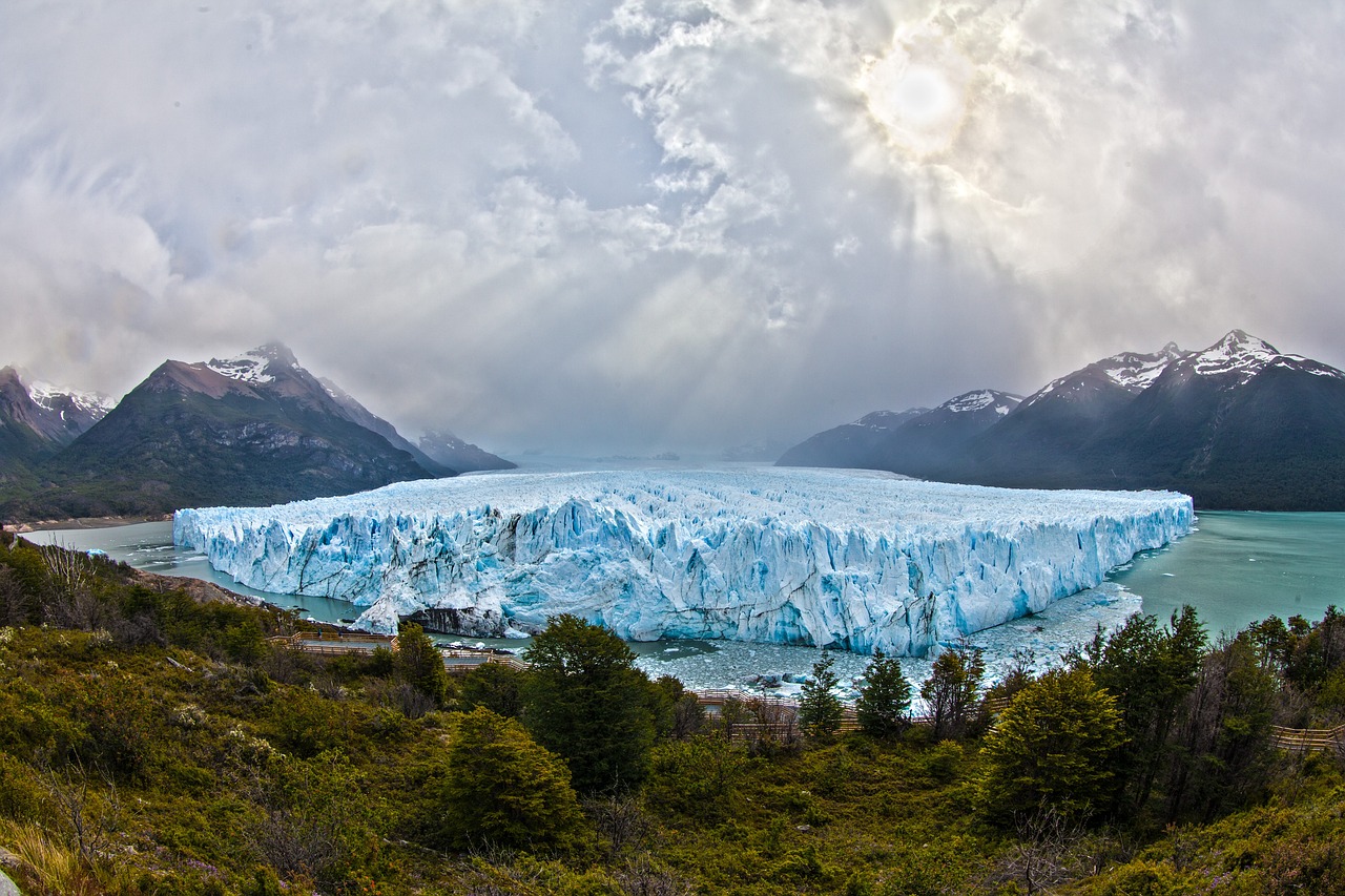 d&eacute;couvrez l'histoire inspirante du fondateur de patagonia, une marque embl&eacute;matique de v&ecirc;tements outdoor engag&eacute;e pour l'environnement.