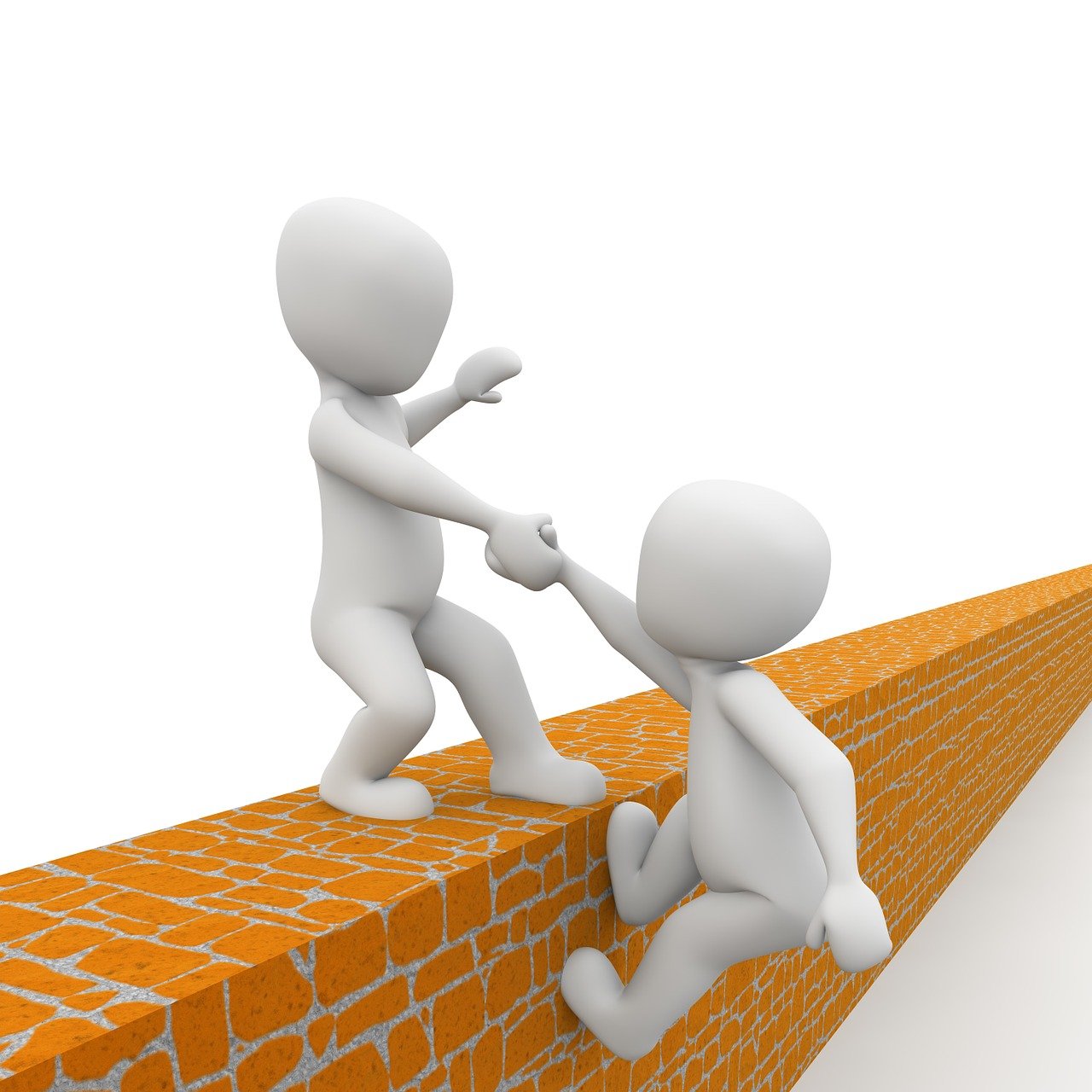 découvrez un refuge dédié à la biodiversité, un havre de paix pour la faune et la flore où la nature est préservée et protégée.