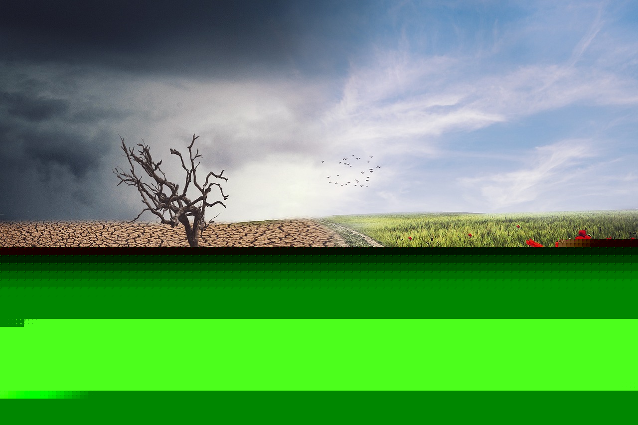 découvrez les causes, les impacts et les solutions face au changement climatique pour protéger notre planète et assurer un avenir durable.