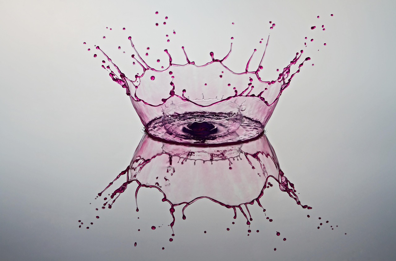 découvrez l'impact de l'alimentation sur la santé, l'environnement et la société. explorez des conseils pour adopter une alimentation durable et responsable.