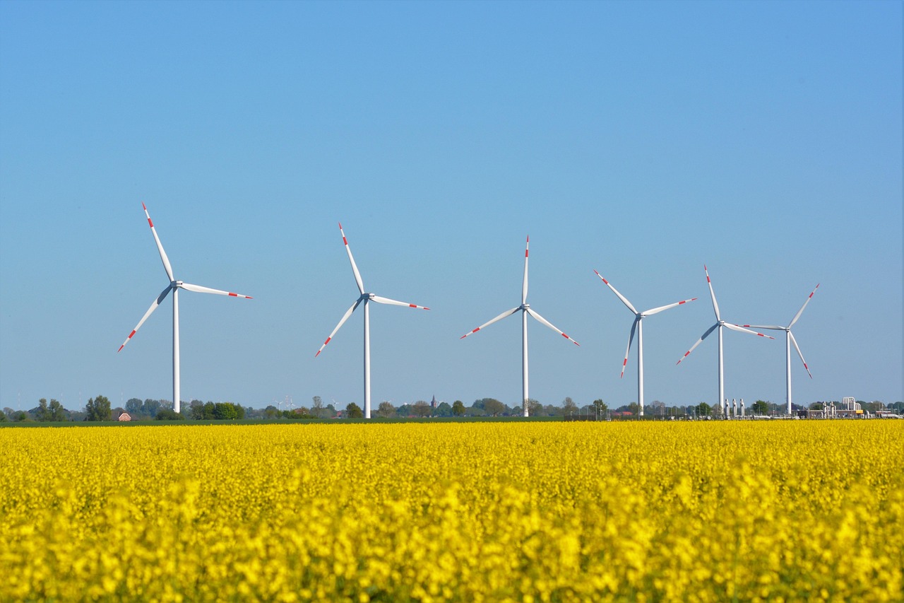 découvrez tout sur les municipalités : administration locale, services offerts, et actualités des collectivités territoriales.