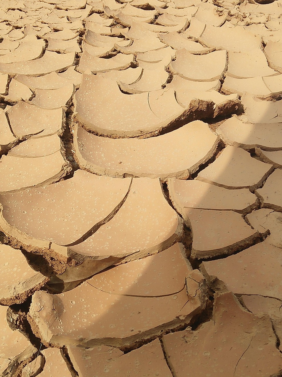 d&eacute;couvrez les causes, les cons&eacute;quences et les m&eacute;thodes de pr&eacute;vention de l'&eacute;rosion des sols pour prot&eacute;ger l'environnement et am&eacute;liorer la qualit&eacute; des terres agricoles.