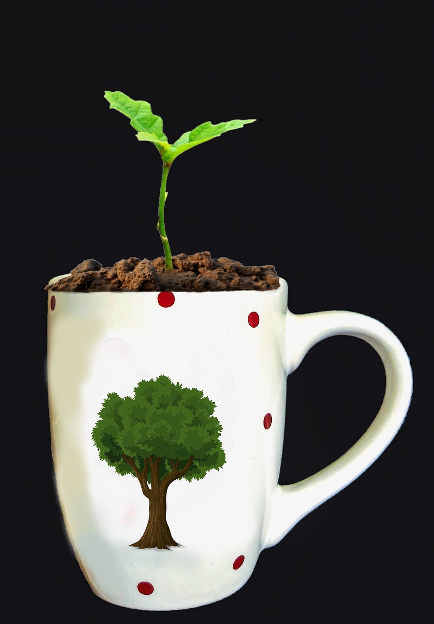 d&eacute;couvrez comment renforcer la r&eacute;silience climatique pour prot&eacute;ger les communaut&eacute;s, l'environnement et l'&eacute;conomie face aux d&eacute;fis du changement climatique.