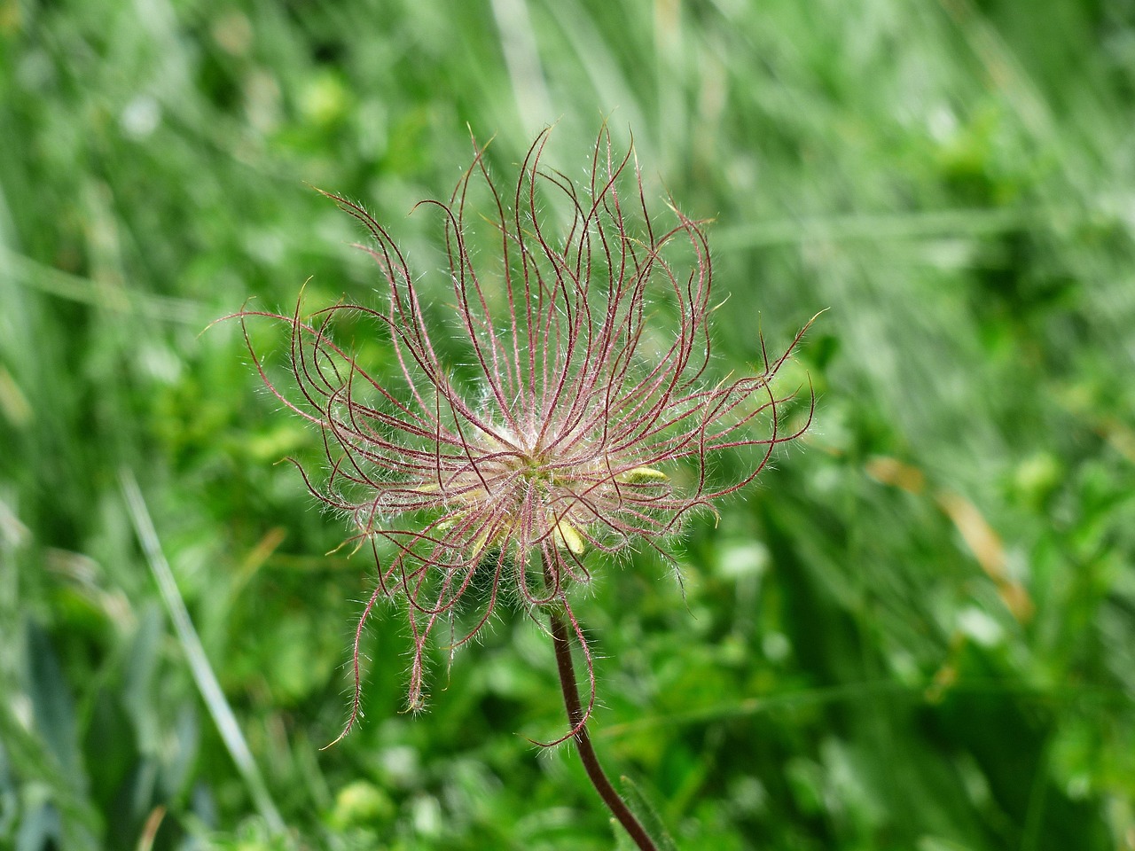 d&eacute;couvrez le concept de diaspora, ses origines, son impact culturel et social &agrave; travers le monde, ainsi que les liens qui unissent les communaut&eacute;s d'origine et leurs descendants.