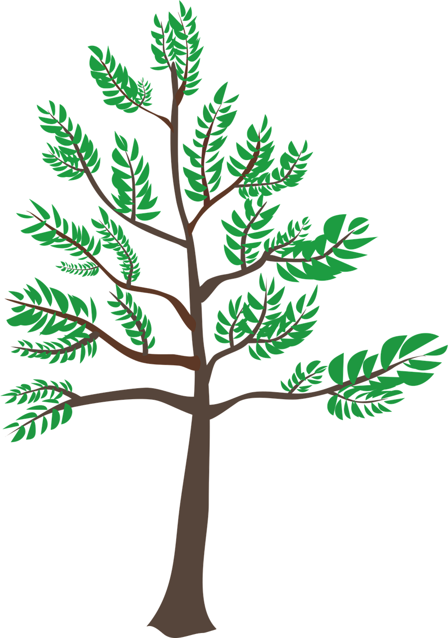 découvrez tout sur la canicule précoce : conseils, impacts et recommandations pour mieux la gérer.