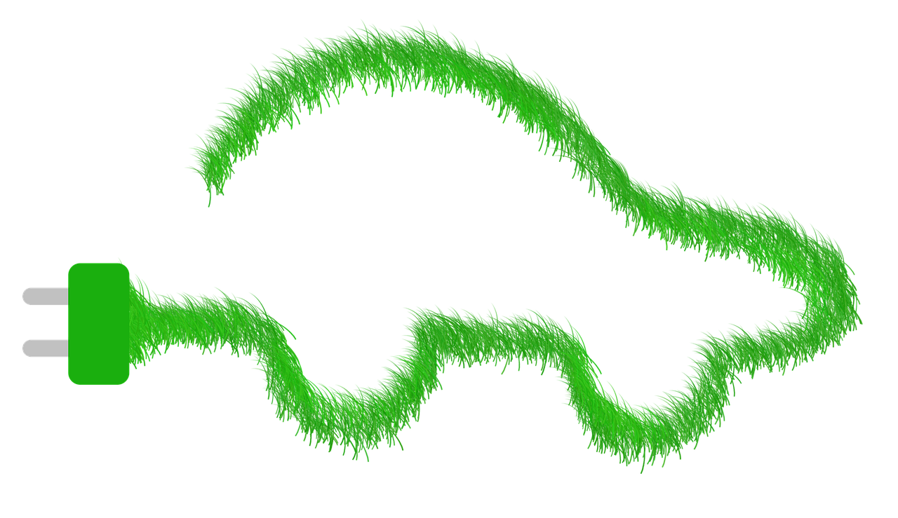 découvrez les victoires écologiques marquantes qui protègent notre planète et encouragent un avenir durable.