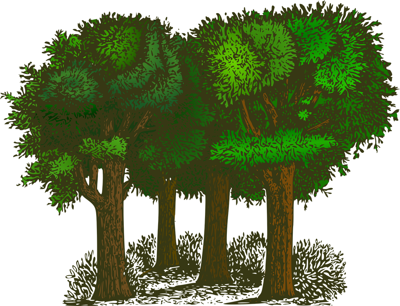 découvrez les enjeux et solutions pour préserver notre environnement et promouvoir un développement durable.