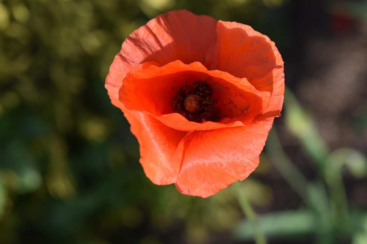 d&eacute;couvrez la signification et les diff&eacute;rentes interpr&eacute;tations du terme 'origin'. explorez ses origines, son histoire et son utilisation dans divers contextes.