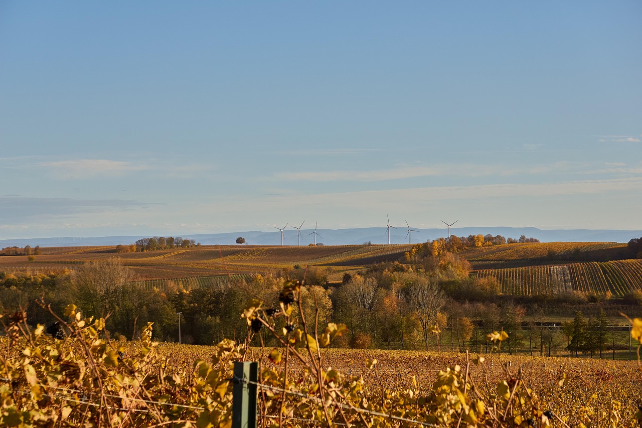 découvrez les enjeux et solutions de la transition vers les énergies renouvelables pour un avenir durable et respectueux de l’environnement.