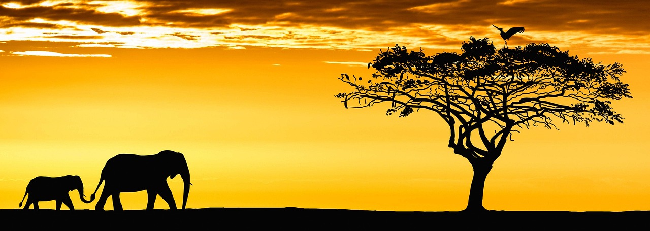 d&eacute;couvrez les causes, les cons&eacute;quences et les solutions pour lutter contre l'extinction des esp&egrave;ces et prot&eacute;ger la biodiversit&eacute; de notre plan&egrave;te.