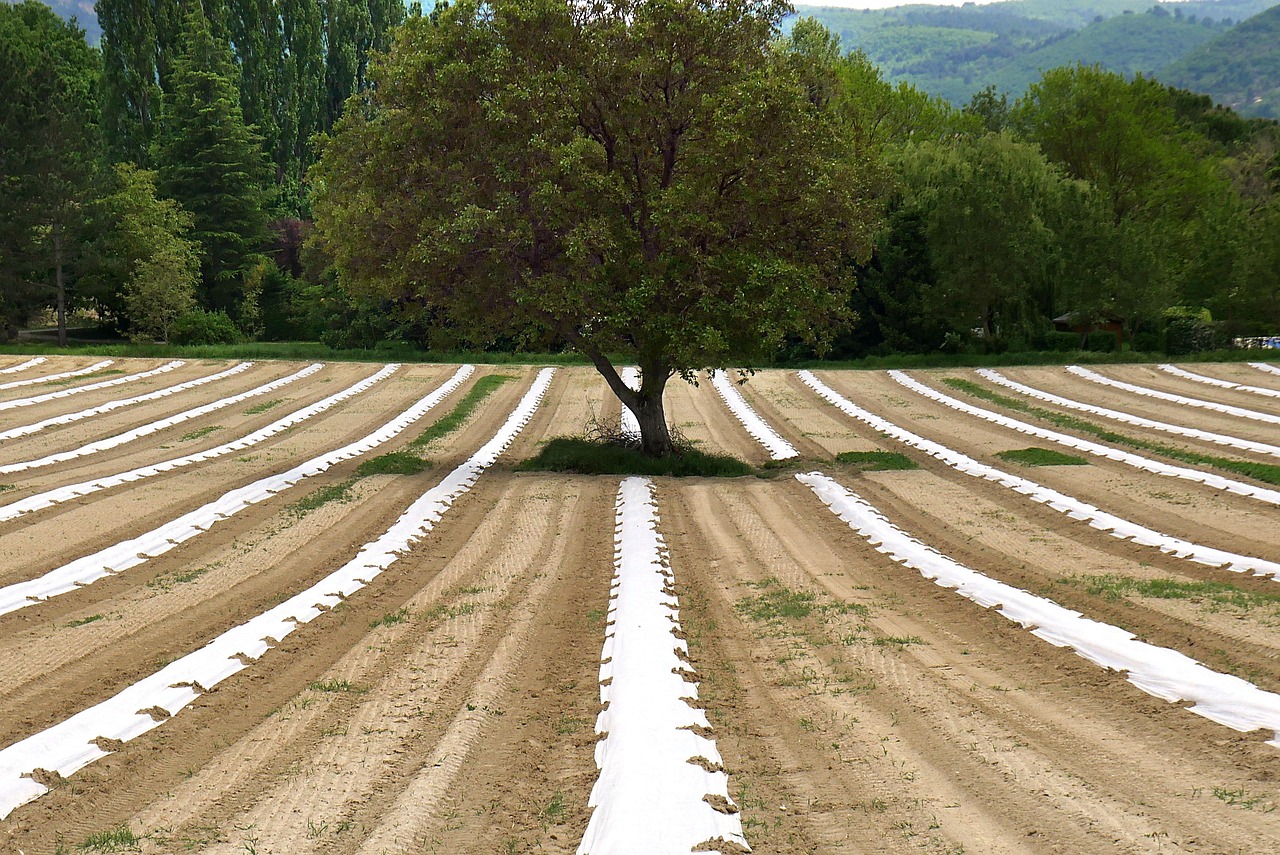 d&eacute;couvrez l'agro&eacute;cologie, une approche durable de l'agriculture qui favorise l'&eacute;quilibre &eacute;cologique, la biodiversit&eacute; et le respect des ressources naturelles pour un avenir alimentaire responsable.