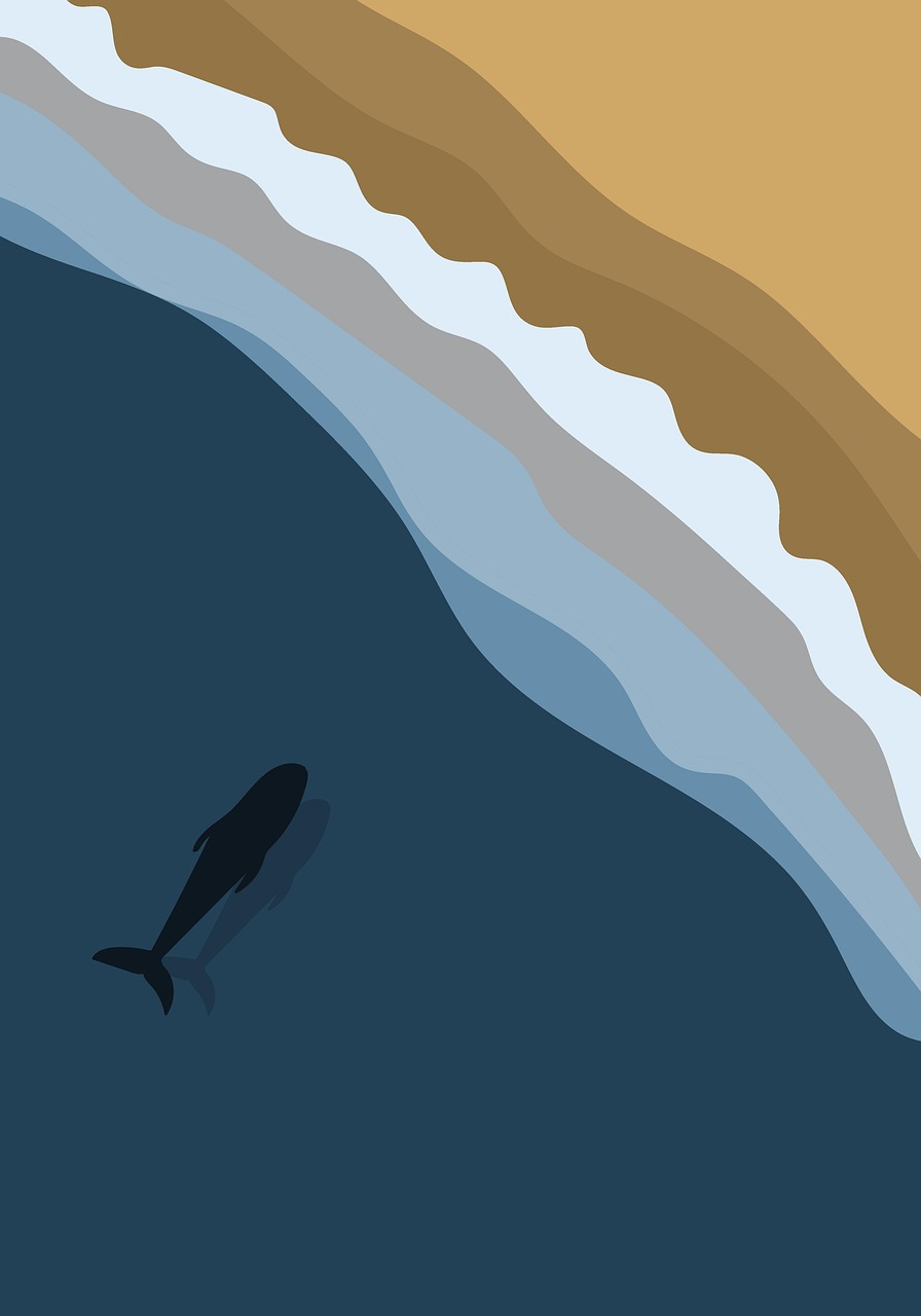 d&eacute;couvrez les requins p&egrave;lerins, les deuxi&egrave;mes plus grands poissons au monde, connus pour leur alimentation filtrante et leur comportement paisible.