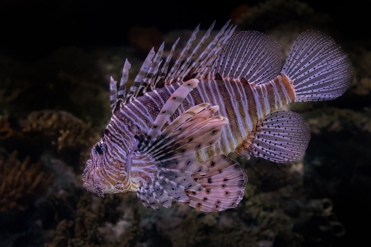 d&eacute;couvrez l'importance de la biodiversit&eacute;, son r&ocirc;le crucial dans l'&eacute;quilibre des &eacute;cosyst&egrave;mes et les actions pour la pr&eacute;server.