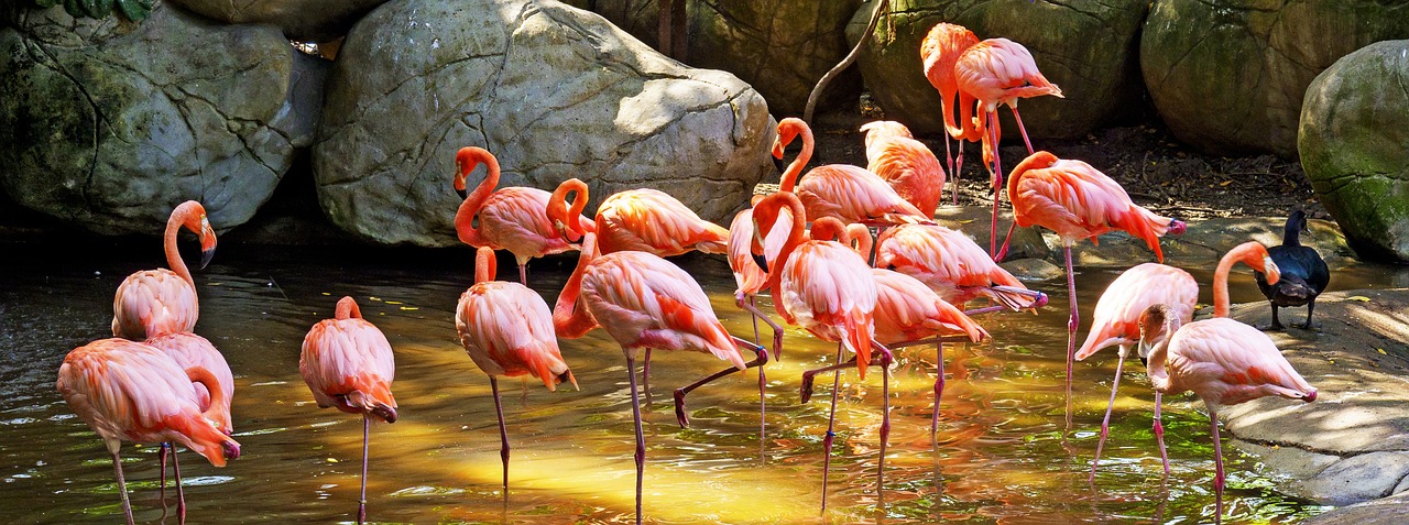 d&eacute;couvrez la colombie, un pays riche en culture, paysages diversifi&eacute;s et une histoire fascinante, id&eacute;al pour les voyageurs en qu&ecirc;te d'aventure et de d&eacute;couverte.