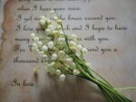 r&eacute;colte pr&eacute;coce du muguet : d&eacute;couvrez les meilleures pratiques pour cueillir le muguet au tout d&eacute;but de sa floraison, garantissant fra&icirc;cheur et parfum d&eacute;licat.